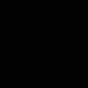 Meet your Posher, Lexi